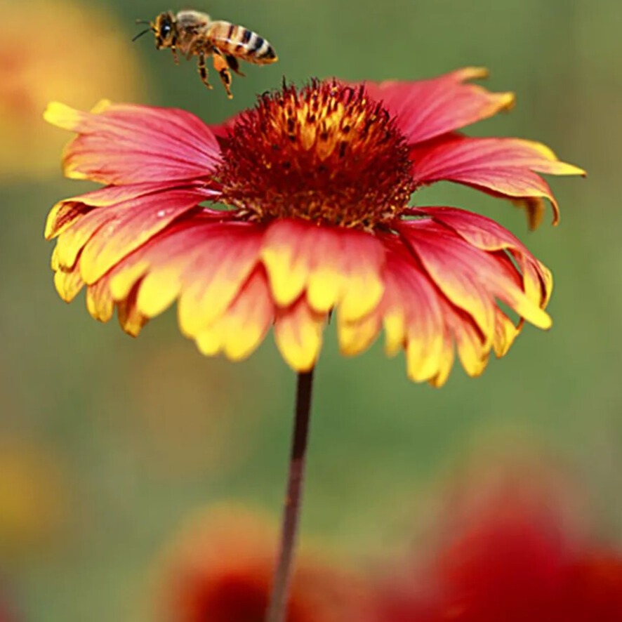 res-testres-testres-testres-testres-testres-testres-test22222